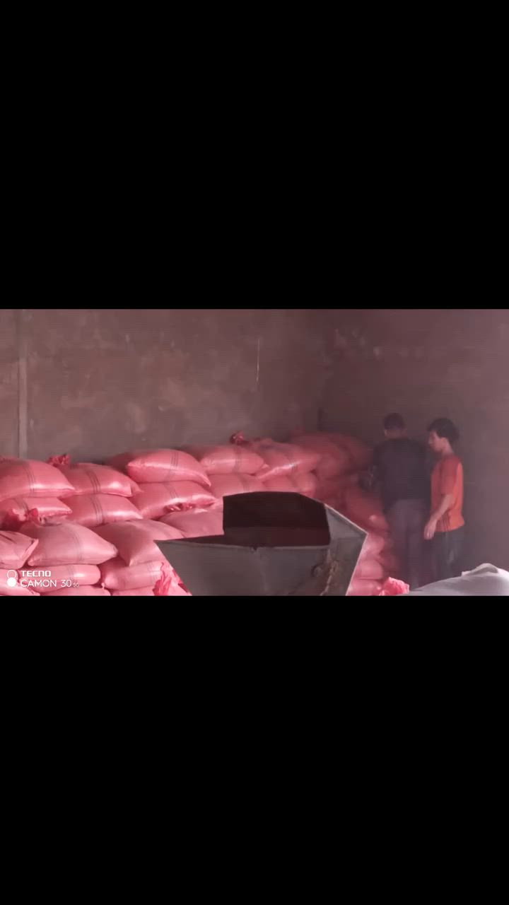 السلام عليكم ورحمه الله 
يوجد بذور شلب عنبر وياسمين درجة اولى للاستفسار الاتصال على الرقم ‏‪***********‬‏ واتساب

