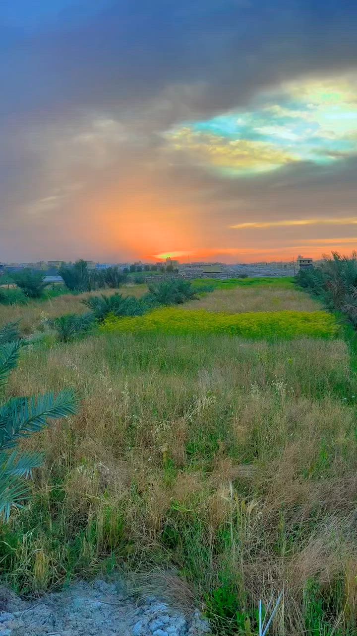 سلام عليكم
بستان للبيع زراعي مساحه 4000 متر واجه 25 نزال 200 كله نخل نشو حمال شويثي بي تقريبن 75 نخله العنوان بساتين ابو حلانه نهايت شارع ابو البنان مكان كلش حلو بستان على نهر ابو حلانه ماي سقي حلو السعر والاستفسار نتصل وتساب ***********
