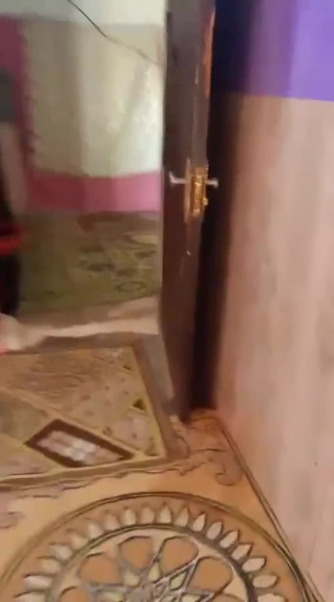 مكلف بالنشر 
السلام عليكم.
بيت للبيع 200 متر واجهة 7 وربع والنزال 28 متر سند طابو زراعي ابيع واقع حال يتكون من
 غرفتين و مطبخ و صحيات و السكف سندويش  صالح للسكن ابيع قطعه ما ابيع بيت متوفر ماء وكهرباء وشارع تبليط 
الموقع: الشرطه الخامسه منطقه الدوانم قرب جامع الفردوس شارع الحداد
السعر : 45 مليون وبي مجال.
للتواصل : *********** واتساب أو اتصال
