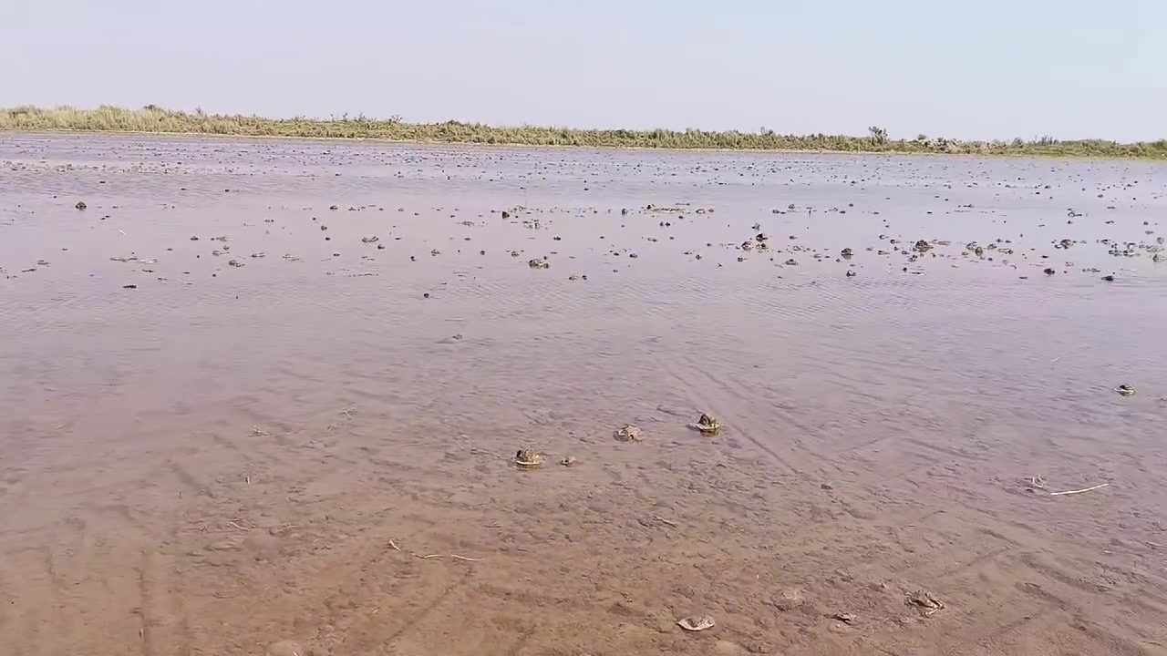 سلام عليكم
اخوان جاهزين لتعديل اراضي الزراعيه بستخدام الجي بي اس  شغل عل دونم   وعل ساعة
***********
