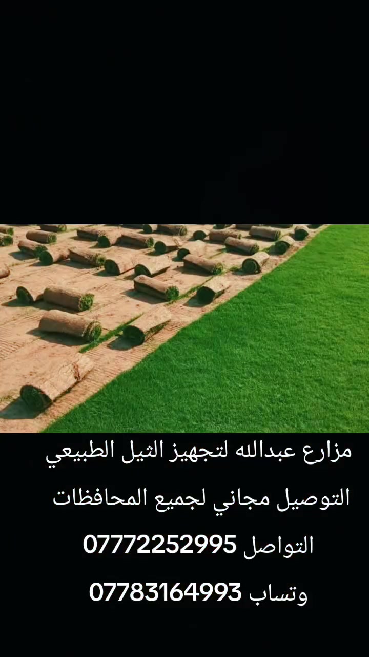 باسعار ثيل ديالى الطبيعي 🏡
أهلاً بكم في مجموعه مزارع ابو عباس الثيل  الهندي الطبيعي مزارع ديالئ 🌿🌱

 نقدم لكم افضل انوع الثيل الطبيعي عالي الجوده يتحمل كافه الضروف البيئية.🌦️🌞

دائم الخضرة🌿🌳 وباسعار تنافسيه ☘️❤️

#مستعدون لتجهيز وفرش الحدائق🏡 ودوائر الدولة🏡والمنازل🏡🏡

و تجهيز الملاعب🏟️ والمنتزهات الجودة العالية في العمل👷👷

مع خدمة التوصيل خلال24ساعه🚛🚛

الاسعار 💵💸 تختلف حسب الكمية 

للاستفسار الاتصال على : الرقم 

او التواصل مع الصفحه  او ارسال رسالة على الوتساب ‏‪ 

التصال والستفسار *********** او ***********
