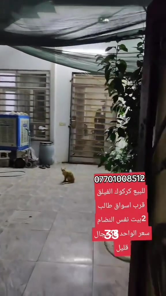متوفر بيت للبيع مساحة 100 متر البيت لديه غرفة نوم وصالة كبيره للضيوف وحمام ومطبخ كبير وصحيات ودرج خارجي والسعر( 34مليون) قابل للتفاوض والاستفسار للمزيد التواصل خاص او مع الرقم 
*********** واتساب
