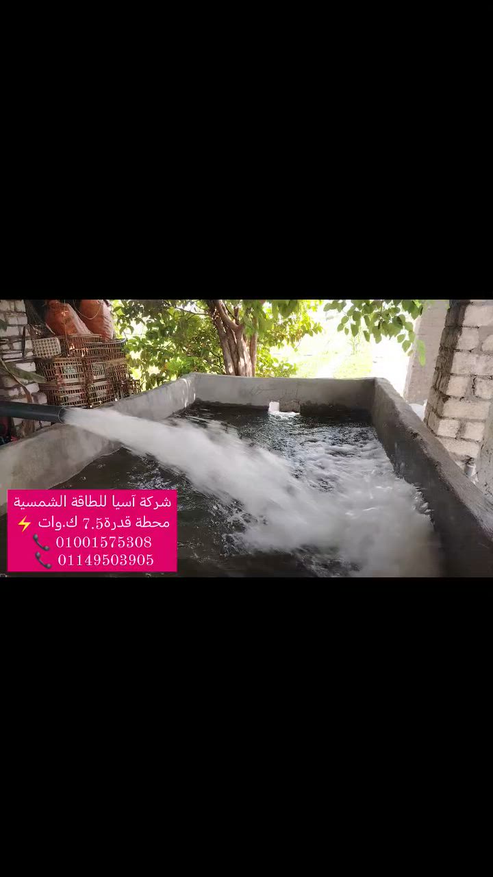 🧑‍🔧 تم تــوريــد وتركــيب محطة قدرة 7.5 كيلووات  وتشغيل موتـور سطحي قـدرة 7.5 حصان بأعلي كفاءة . 

🔥 أعلى جودة بأفضل أسعار 🤝
🌊 إروي أرضك ببلاش مـدي الحيــــــاة 👍

🤝 شكراً لثقتكم بنا  🙏 . 

🔴 للحجز والاستفسار يمكنكم التواصل على :
… موبايل📞  :  01001575308
… واتس 📱  :  01149503905

⚡ شـركة آسـيا للطـاقة هي إختيارك الأفضل👌


**إذا كنت صاحب هذا الإعلان وتريد حذفه لأي سبب، رجاءا أرسل رسالة إلى الدعم الفني**