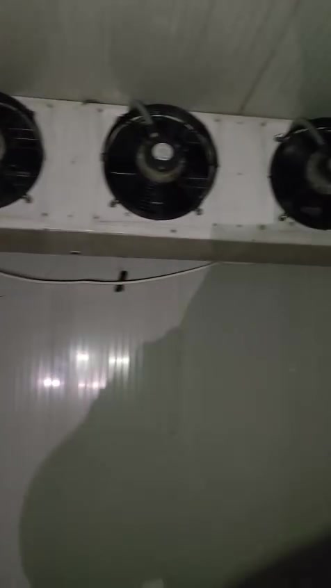 السلام عليكم غرفه تجميد ٧ نص طن فول شغال للبيع بشرط تاخذ فحص كامل للستفسار خاص او اتصل ***********الرقم بي وتساب
