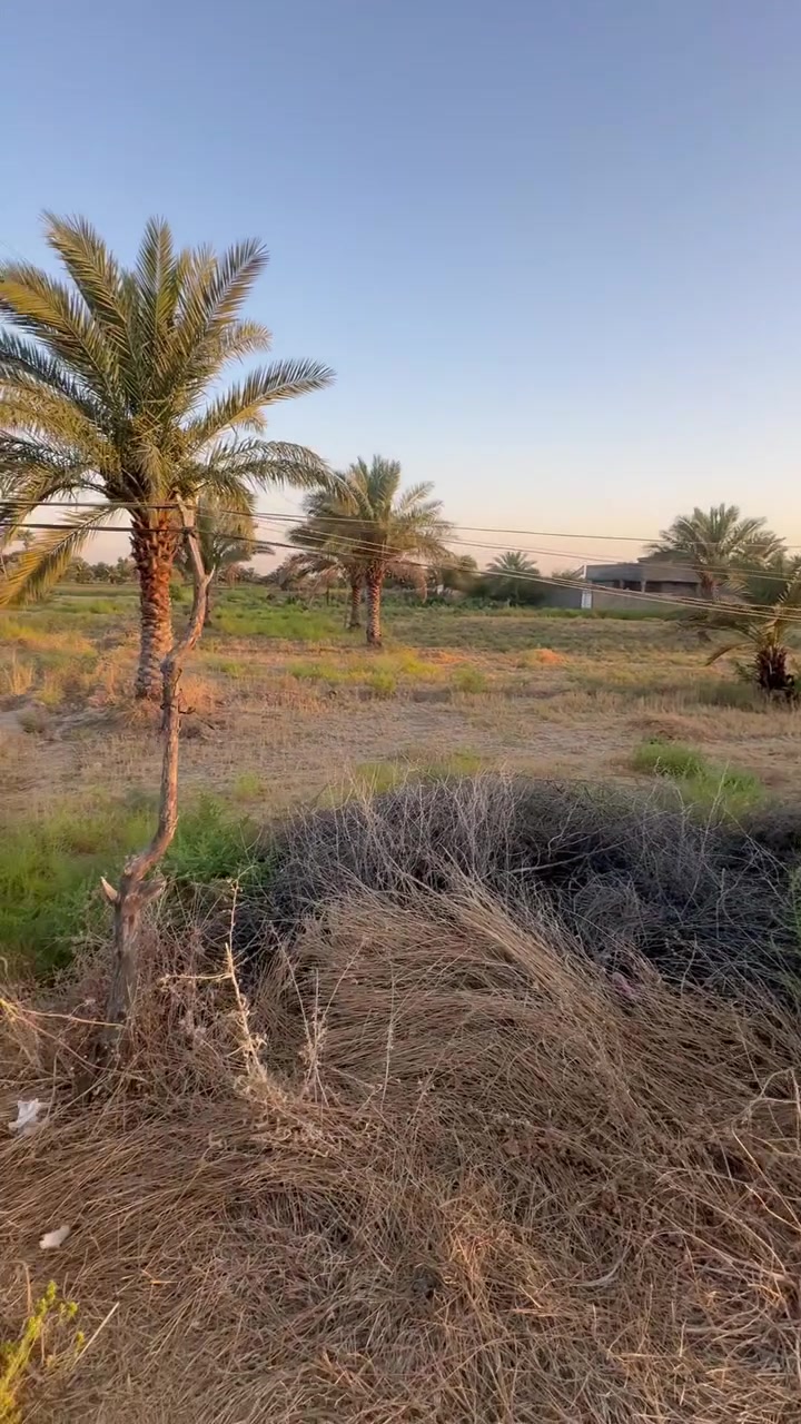�

فرصة مميزة للاستثمار أو إنشاء مشروع زراعي.

📐 المساحة الكلية: 2950 متر مربع
📏 الواجهة: 58 متر

✅ جميع التفاصيل والمواصفات موضحة داخل الفيديو.

📞 للاستفسار والاتصال:
علي عذاب
***********

📲 واتساب:
***********
#أرض_للبيع #أرض_زراعية #عقارات #استثمار #علي_عذا
