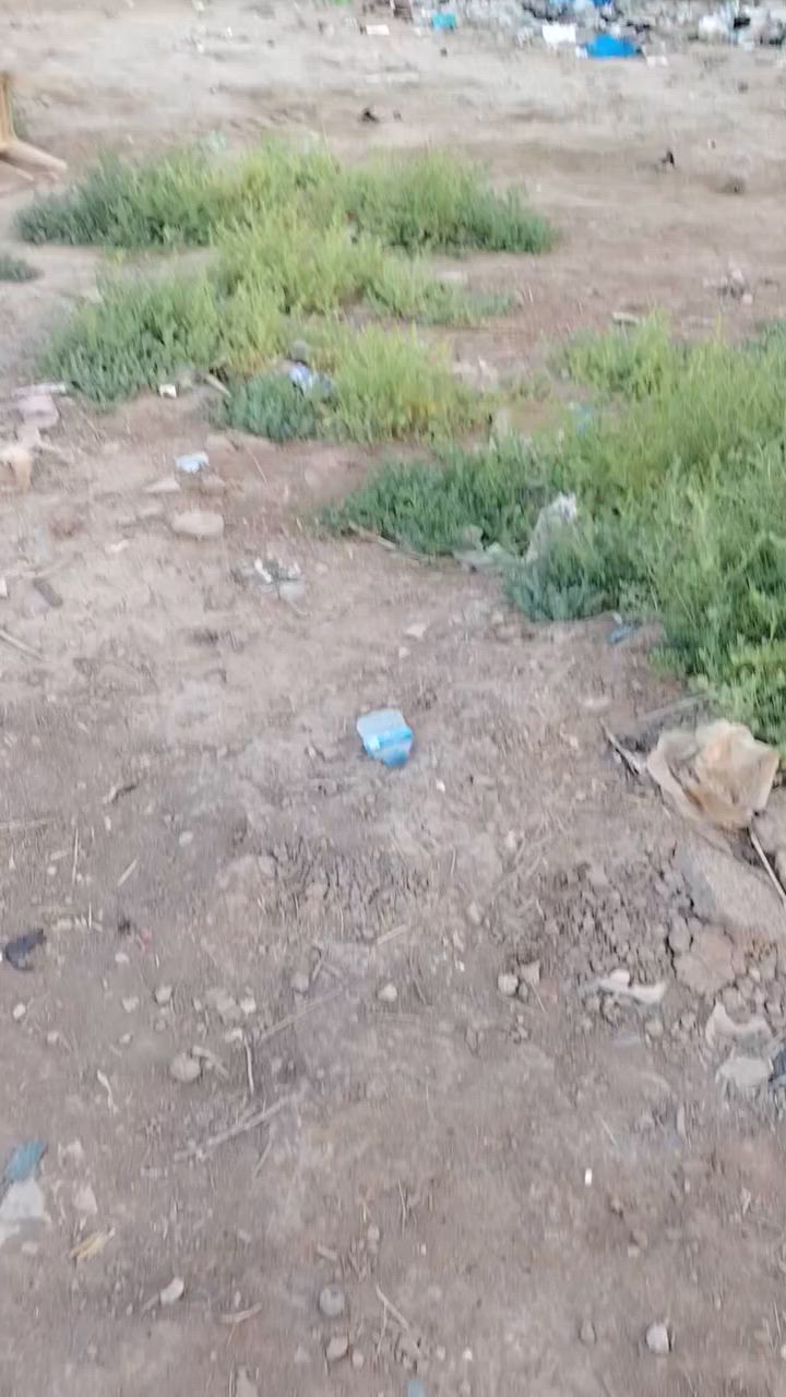 لبيع  للتواصل ***********
