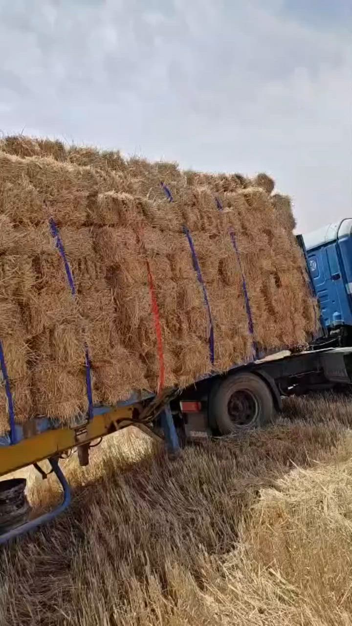 كبس تبن توصيل جميع المحافظات
كميات جاهزة للتجهيز والتوصيل 🚛
مرتب ونظيف 

للطلب والاستفسار راسلني + الرقم: ‏‪***********‬‏
