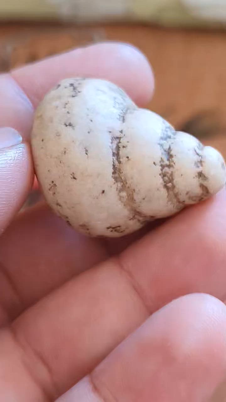 عطف بري ثلاث لويات ملاكط كاعنه مشروط الاصاله


**إذا كنت صاحب هذا الإعلان وتريد حذفه لأي سبب، رجاءا أرسل رسالة إلى الدعم الفني**