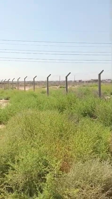 السلام عليكم اخوان دونم للبيع
الاستفسار اتصال على رقم الهاتف 
***********

