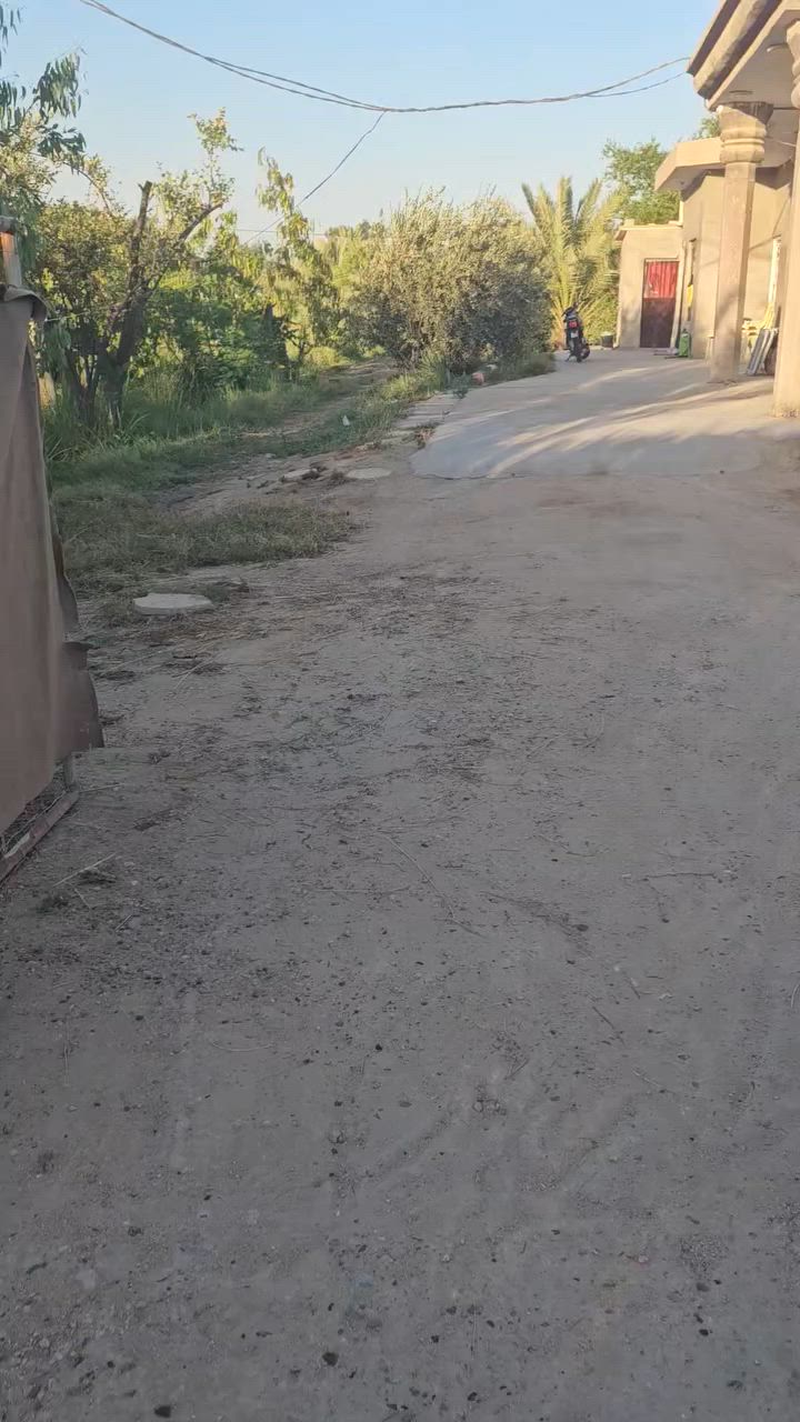 يالله
سلام عليكم 
يعلن مكتب ابراهيم النصراوي 
تفاصيل داخل المقطع 
الموقع سده محاويل طريق جامع الرسول 
٤٠ نخله أشجار منوعه 
الواجهيه٦٢والنزال  ٦٢ 
البيت مرتب بناء بلوك السقف صب
للاستفسار مراجعة المكتب مقابل البنزين خانه الميقات 
او اتصال على الرقم ***********
