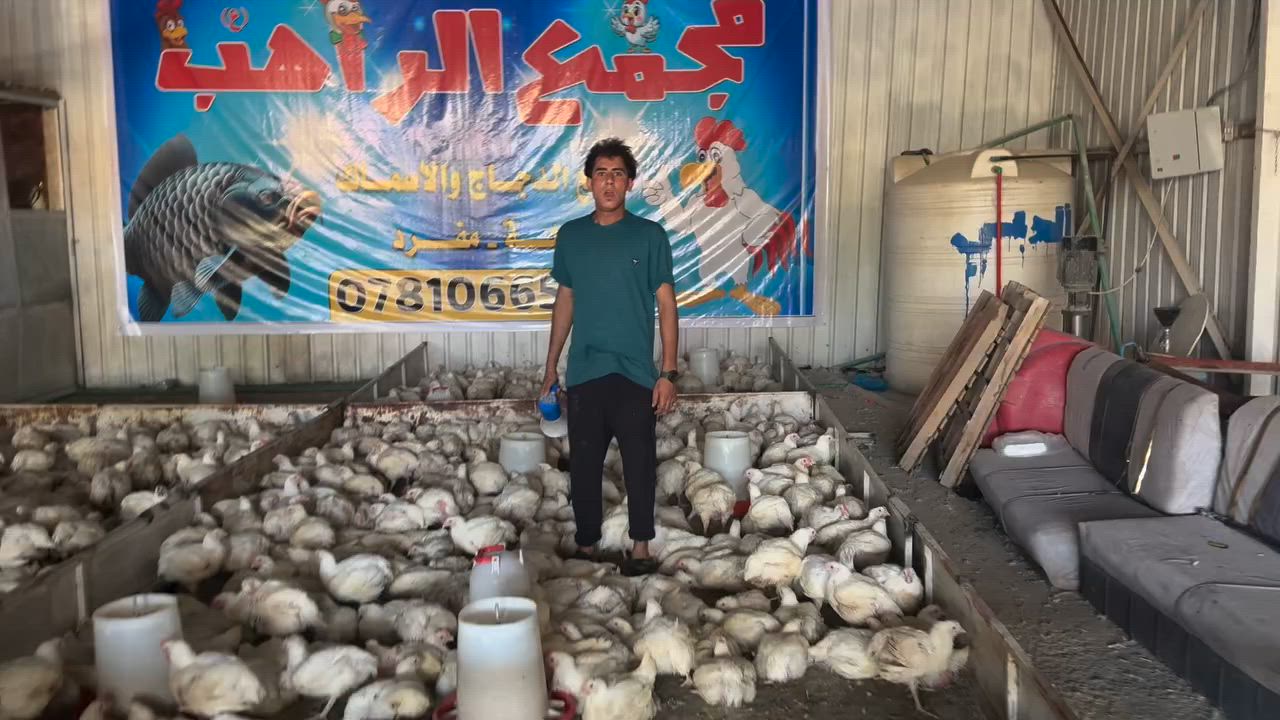 اهل الناصريه خدام الحسين 
اريد اشارك وياكم بثواب 
كيلو الدجاج ب ٣٢٥٠

مجمع الراهب بل موحيه بل سايدين 

***********
