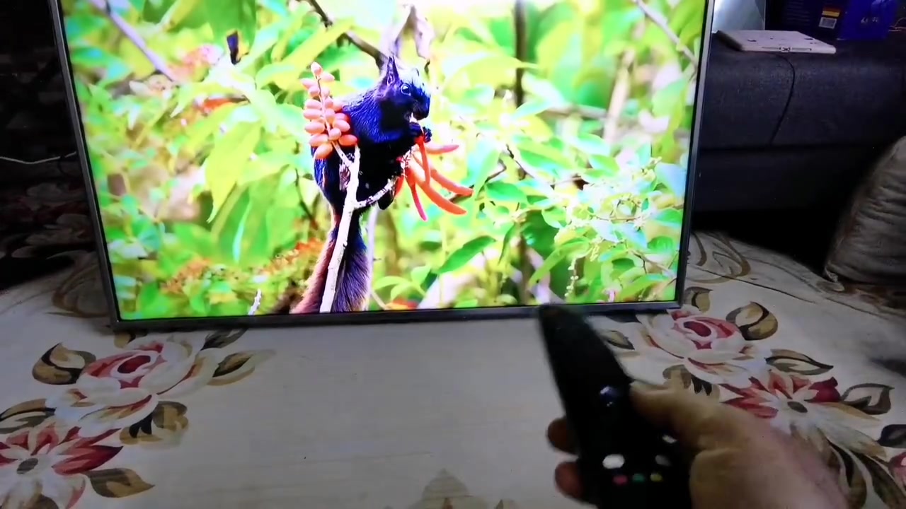 سلام عليكم عندي شاشه نوع LG webos كوري الأصلي  وكاله خوشناو حجم 49 بي ستلايت داخلي سمارت انترنت مع ريموت ماوس اصلي نضيف جدا السعر 375 الف العنوان البياع حي الرساله الأولى قرب مدينة العاب الكرخ تلفون ***********4
WhatsApp +964***********
سلام عليكم عندي شاشه نوع LG webos كوري الأصلي  وكاله خوشناو حجم 49 بي ستلايت داخلي سمارت انترنت مع ريموت ماوس اصلي نضيف جدا السعر 375 الف العنوان البياع حي الرساله الأولى قرب مدينة العاب الكرخ تلفون ***********4
