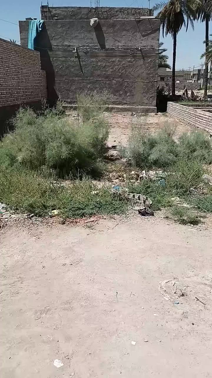 بسم الله الرحمن الرحيم
اللهم صل على محمد وآل محمد 
قطعة أرض للبيع طابو زراعي سند 25 قرار محكمة مساحه 200م واجهيه 10م نزال 20 خدمات ماء وكهرباء مولدة العنوان طويريج الحولي منطقة الكطع خلف حلويات ابو سلام اي استفسار مراجعة مكتب_عقارات_علي_الجنابي مقابيل جسر 🌉 الصناعي مجاور دارك مول 🏬 او مجاور صيدلية الامين السعر 25///***********
