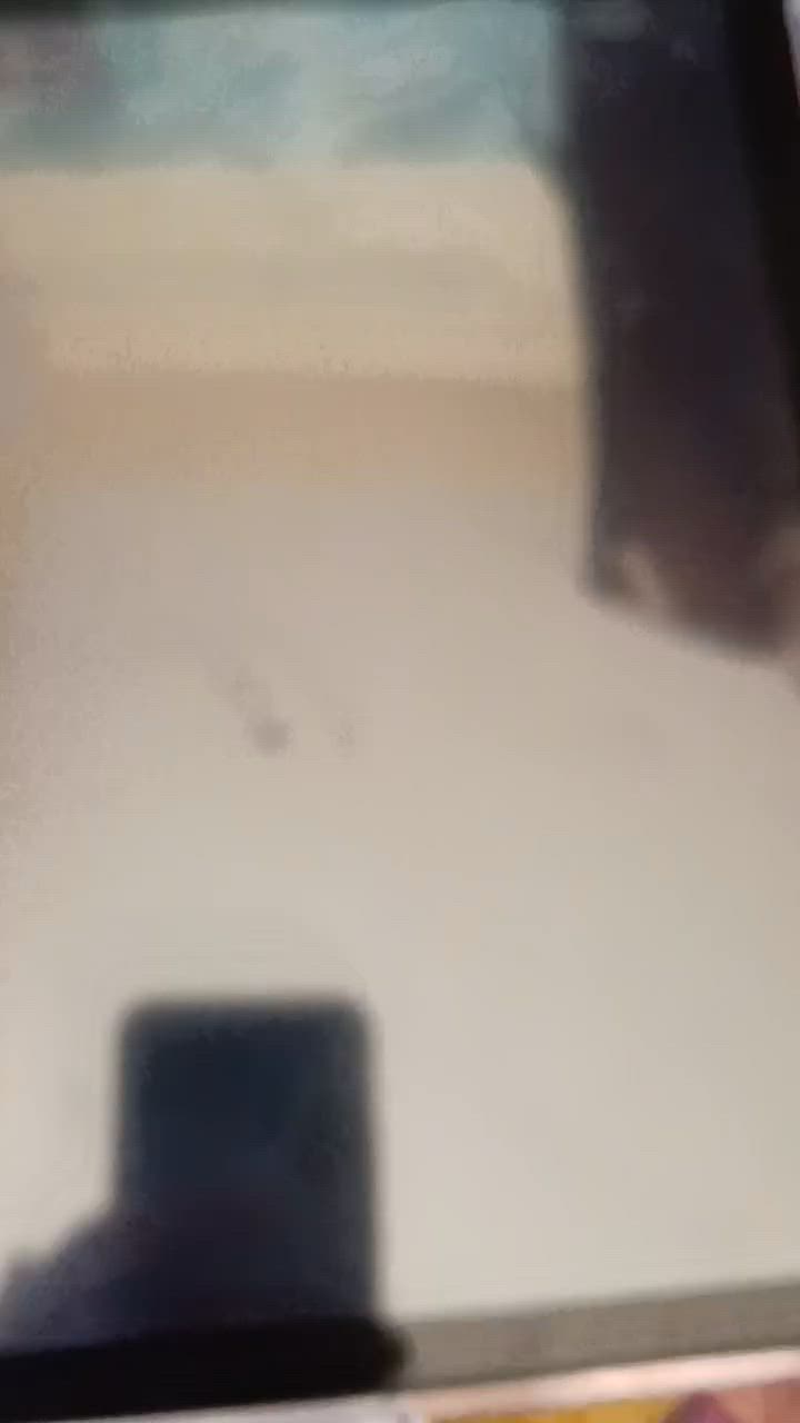 كل قطعة اله سعر جوة السوك ادللو


**إذا كنت صاحب هذا الإعلان وتريد حذفه لأي سبب، رجاءا أرسل رسالة إلى الدعم الفني**