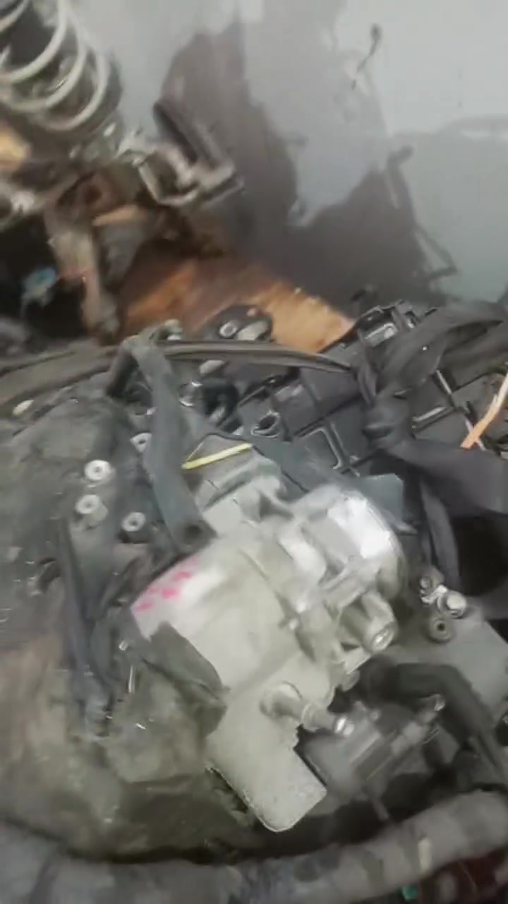 اكاديا الضفيره ام الخطين عندي حتا ضفيره عندي
***********
