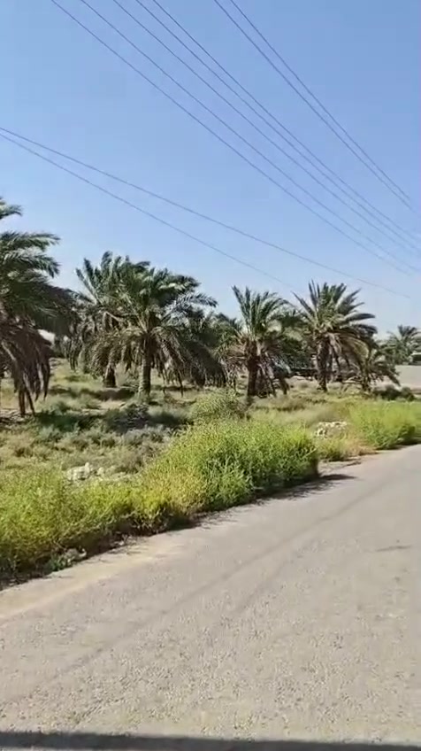 يالله السلام عليكم
يوجد دونم ملك طابو صرف
الوجه 25
والنزال100
مكانه بغداد المدائن قرب شارع سيد علي 
خدمات كامله كهرباء. ماء 
يبعد عن نهر دجلة ٧٠٠م
موقعه حلو 
الاستفسار أكثر اتصل على
 ***********
