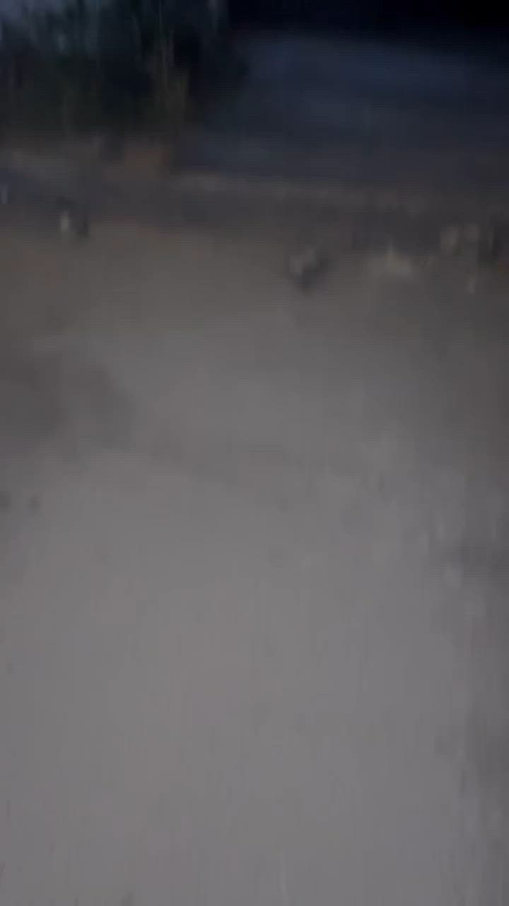 حي الحسين تفاصيل بالفيديو 
الاستفسار ***********
