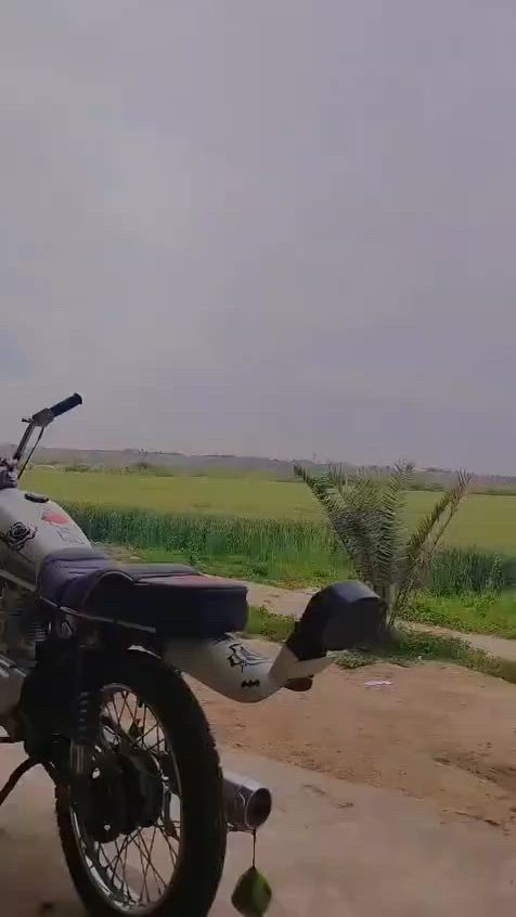 سلام عليكم حربي رابيدو اللبيع شرط ممفتوحه يعوزه كابريتر بس سعره425 ربع ماينزل ال مو شري لا تجي وتكسر بحلال العالم رقمي ***********
