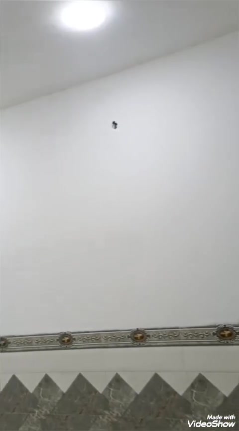 السلام عليكم اخواني اخواتي الأعزاء..
مشتمل 🏡 طابق ثاني للايجار مساحة 100م..
✅يحتوي على..
✅ استقبال 
✅صالة بنفس الوقت مطبخ 
✅صحيات
✅غرفة نوم+بيتونة.. مطلوب عائلة صغيرة..
✅تانكي ماء+سخان كامل..
✅ العنوان.. البلديات ضياء الحلفي شارع جامع سيد صلاح المكصوصي قرب مدرسة 🏫 الشهب الأهلية..
✅ للاستفسار متوفر 📞 واتساب 🌐 وماسنجر 🌐 وخاص وبخدمتكم..***********
