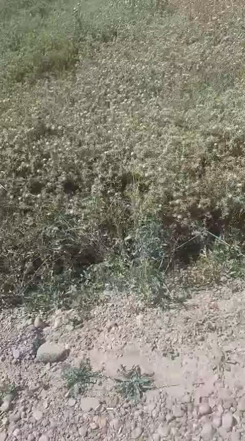السلام عليكم 
تفاصيل داخل الفيديو 
للاتصال او الاستفسار 
***********
***********واتساب
