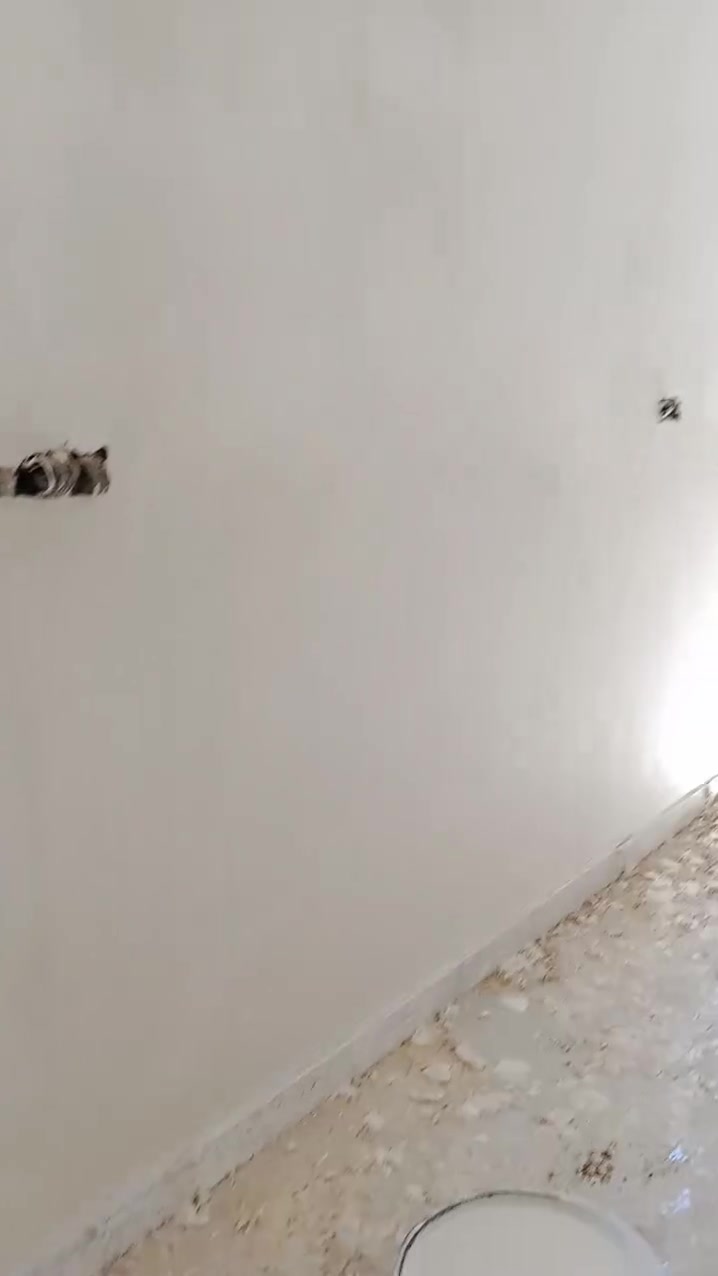 لباخ سمنت جص بورك متفرغ حالياً ***********ابو علي
