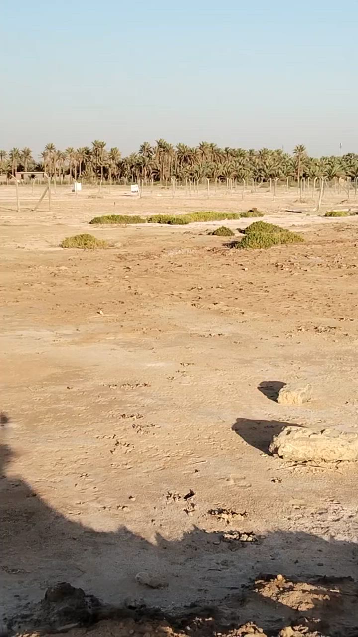 قطعة أرض للبيع ٢٠٠ متر مستعجل على البيع بسعر مغري.....***********

