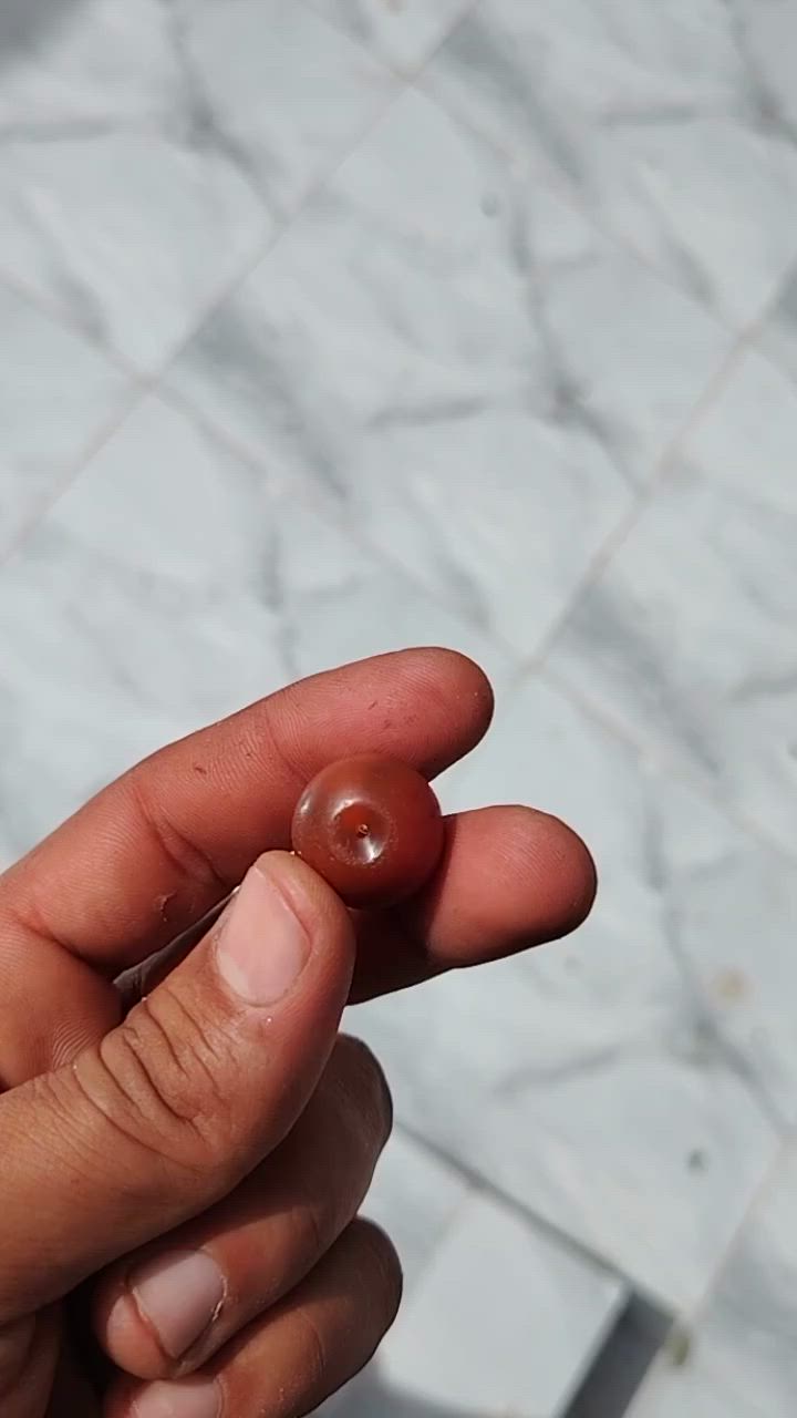 سلام عليكم ذني لكيتهن بمكان اثري للبيع قيم بما يرضي الله و تعال اخذهن


**إذا كنت صاحب هذا الإعلان وتريد حذفه لأي سبب، رجاءا أرسل رسالة إلى الدعم الفني**