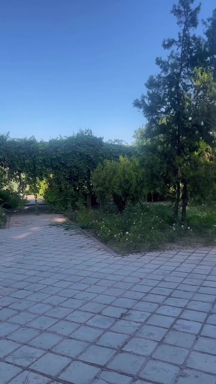 📸 لقطات من رحلتنا التي انتهت اليوم!
استمتعنا بأجمل الأوقات، والذكريات الجميلة لا تنتهي هنا.. ✨
🚨 لا تفوت الفرصة! سارع بالحجز معنا في الرحلة القادمة واضمن مكانك.
📞 للاستفسار والحجز:
***********
