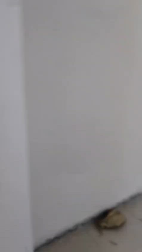 غرفه تركي 8 قطع سعر قفل قفل 200 مكان زعفرانيه


**إذا كنت صاحب هذا الإعلان وتريد حذفه لأي سبب، رجاءا أرسل رسالة إلى الدعم الفني**