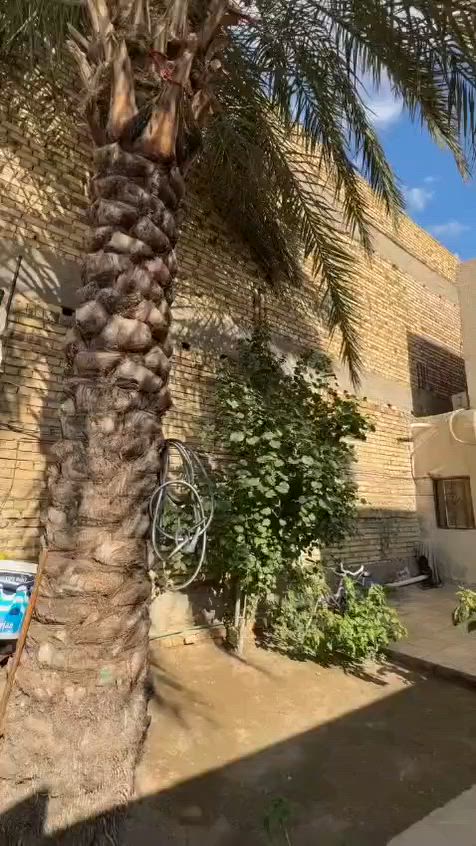 السلام عليكم 
دار للبيع المكان بكرلي الشارع المقابل محطه الغاز نهايته كامل الخدمات مى كهرباء وتبليط بابكم المساحه 115م طابو زراعي سند السعر 75 أي ستفسار أتصل أو تتفضل خاص 🏫 وبيك خير وتدلل ***********
