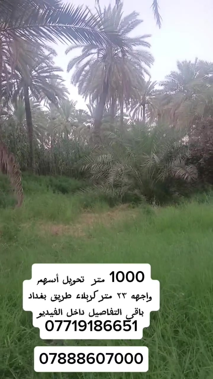 ١٠٠٠ متر للبيع كربلاء طريق بغداد عمود ٥٤ واجهه ٢٣ خدمات كاملة  سند ٢٥ تحويل أسهم يبعد عن الإمام ٤ كيلو باقي التفاصيل داخل الفيديو ***********
***********
