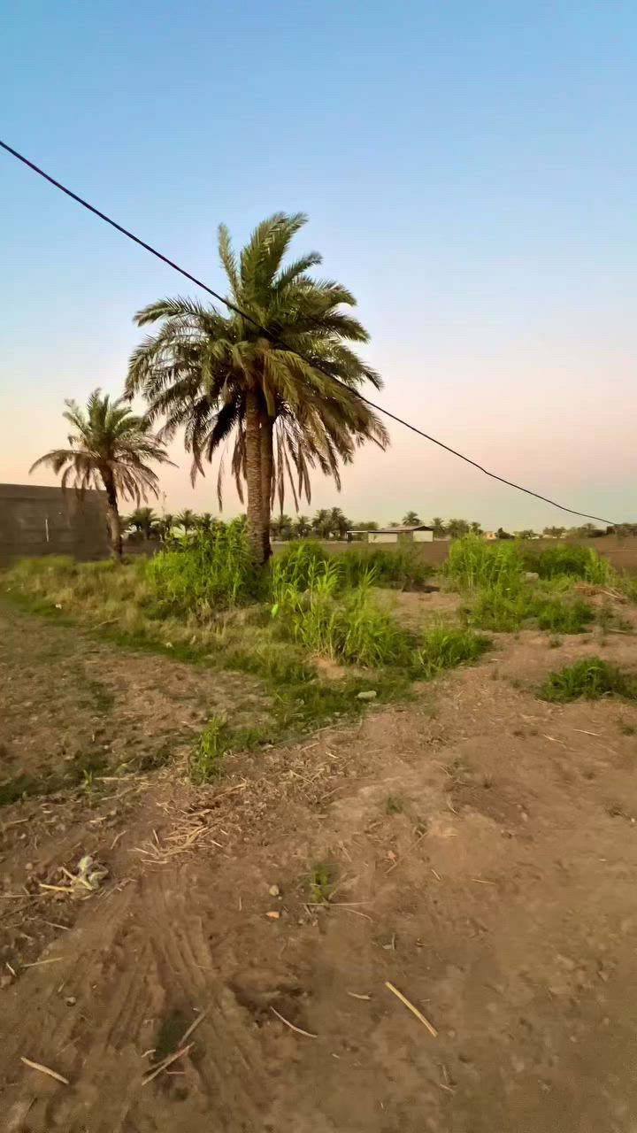 📣 عقار للبيع في بغداد - المدائن
تفاصيل الأرض العقارية:
 المساحة الكلية: 4 دوانم.
 الواجهة: 40 متر.
 النزال: 250 متر.
📍 الموقع:
بغداد / قضاء المدائن - منطقة الجعارة (شارع المزارع).
📞 للتواصل والاستفسار:
يمكنكم الاتصال مباشرة بأصحاب الشأن عبر الأرقام التالية:
 ***********
 ***********
