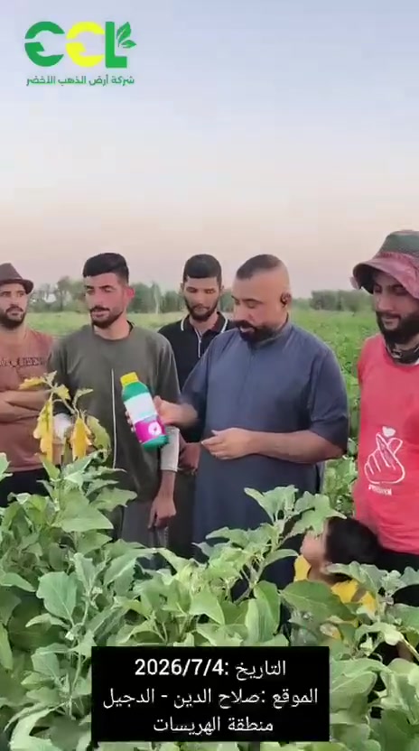متوفر لدى مكتب القرية العصرية مبيد عناكبي ومنشط ورقي (سبايدر ) 
آمن جدا 
للنخيل والمحاصيل الخضرية 
العنوان : كربلاء حي السلام قرب محطة باب الكفيل 
***********
