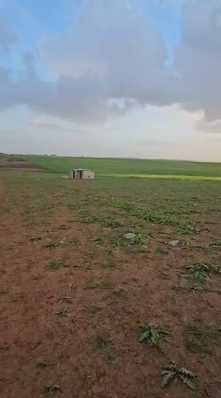 السلام عليكم دوانم للبيع في القوسيات بعد سيطرة القواس نضام مزارعه خدمات كامل ماي كهربا
مكاتب ويا الشرعي مباشر الاستفسار أكثر الاتصال ع الرقم او مرسلت الصفحه خاص 
*********** +وتساب
السلام عليكم دوانم للبيع في القوسيات بعد سيطرة القواس نضام مزارعه خدمات كامل ماي كهربا
السلام عليكم دوانم للبيع في القوسيات بعد سيطرة القواس نضام مزارعه خدمات كامل ماي كهربا

