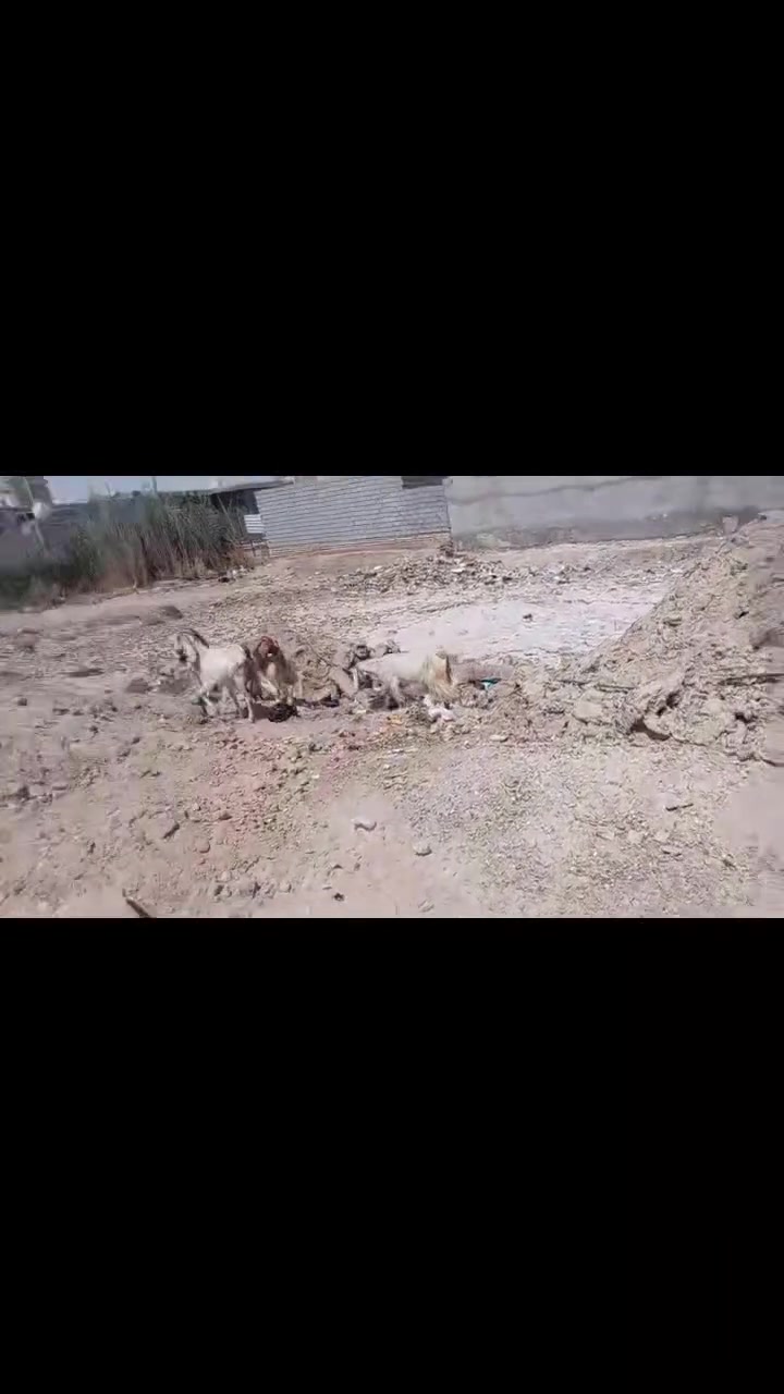 قطعة زراعي 200م بالجوادين
 مقابل معمل الموطا 
منطقة سكنية وخدمات متوفره
ماء وكهرباء وتبليط
السعر 18 وبي مجال
***********
