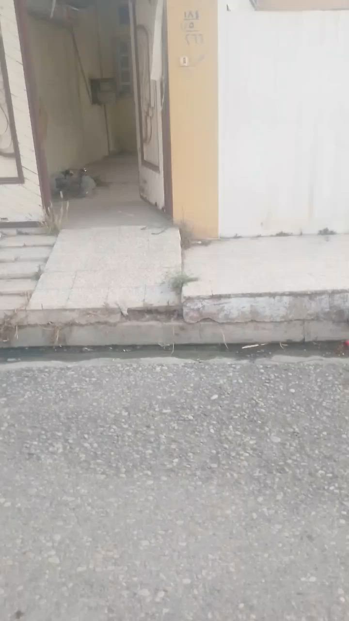 السلام عليكم بيوت للايجار في منطقه حي الوحده والسومر وحيا الانتصار والشيماء الشرقيه
***********
***********

