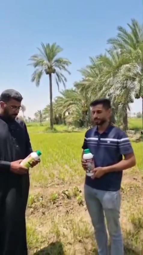 🌾💪 بعون الله تم إنجاز رش مبيد أدغال الشلب على الدنان والدهنان، وكانت النتائج مميزة بفعاليته العالية في القضاء على الأدغال، مما يهيئ الظروف المثالية لنمو محصول الشلب ويحد من منافسة الأدغال على الماء والعناصر الغذائية.

نتمنى لمزارعينا الكرام موسمًا ناجحًا وإنتاجًا وفيرًا، ونسأل الله أن يبارك في الزرع والجهد والرزق.

مكتب عمار الزراعي الفني
المشخاب -خلف مصرف الرافدين
***********
