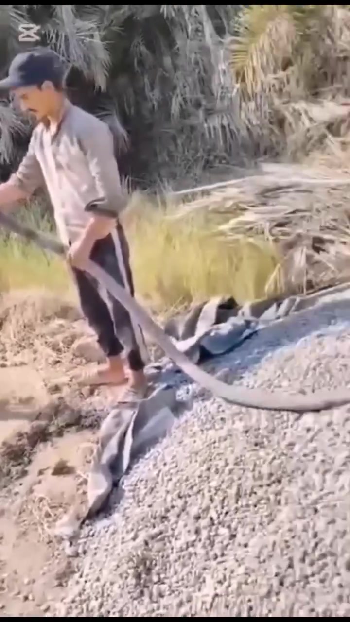 حفر ابار***********
_________*********** 
حفر ///اليا  🚜*********** 
__*********** _______________________________
مستعدون لحفر الابار وثقوب الشوارع
 اليا🚜_ ويدوي🚹
 {وتسريب مياه الامطار والمخازن}
 في كل محافظات العراق
 بأنسب الاسعار
 شغل مضمون100% 
للأستفسار..
《راسل الصفحه او اتصل على الأرقام》↘️
●●●●●●●
***********
