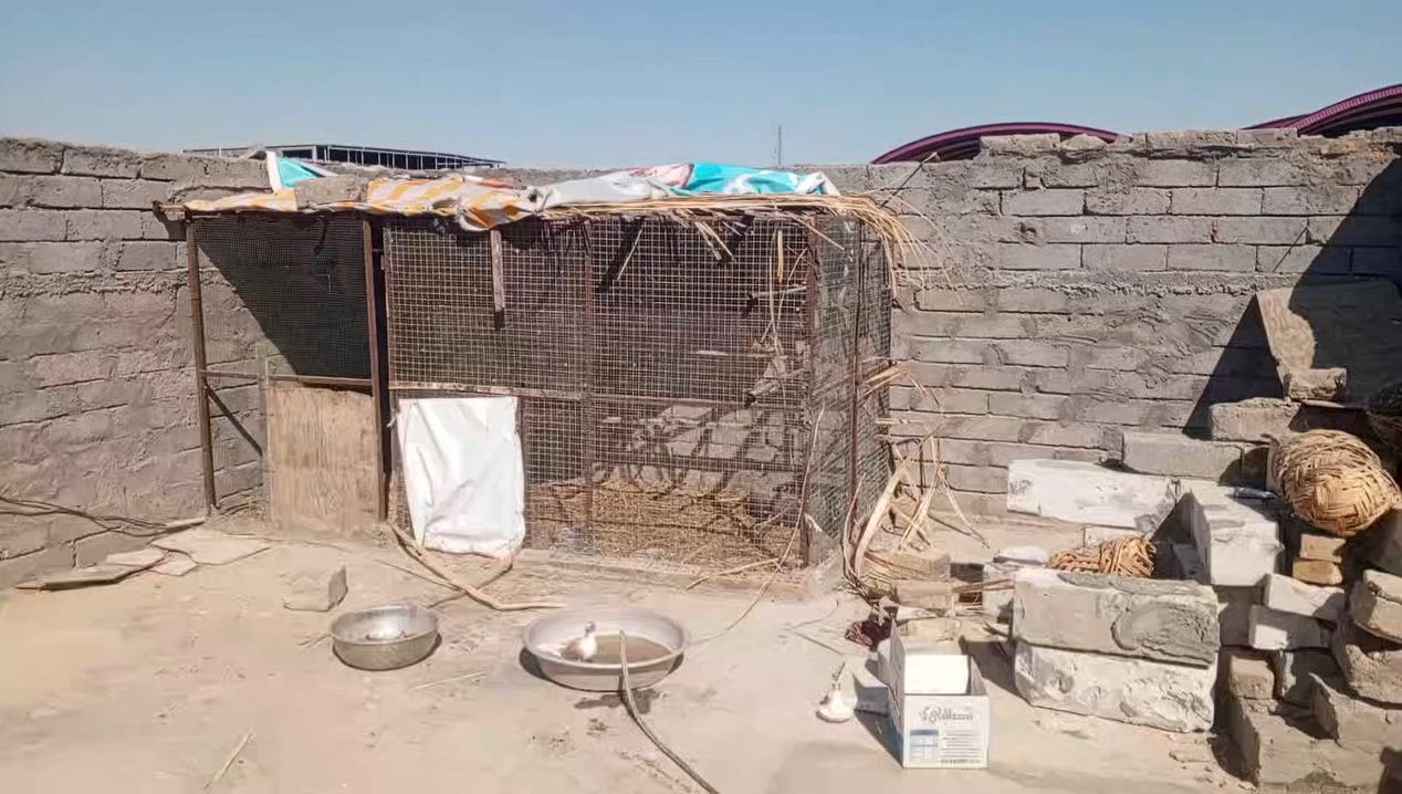 واجهة الارتفاع 150 والطول 4ونص قيم واخذ المكان قضاء المدينة


**إذا كنت صاحب هذا الإعلان وتريد حذفه لأي سبب، رجاءا أرسل رسالة إلى الدعم الفني**