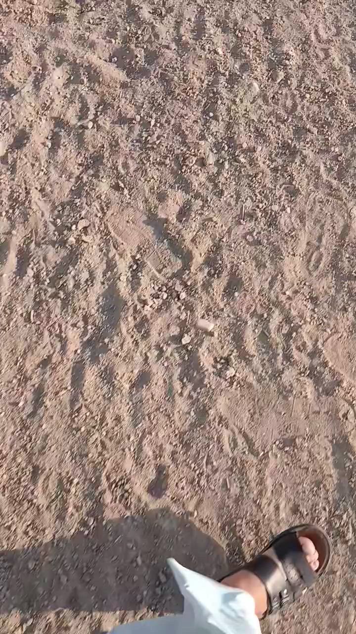 للبيع دونمين زراعي الموقع خان بني سعد شارع الدمن  ماء كهرباء للإستفسار الاتصال على الرقم ***********

