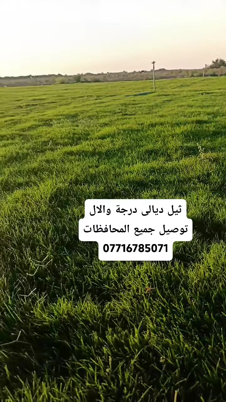 سلام عليكم ثيل ديالى الهندي درجه والال توصيل جميع المحافظات ***********
