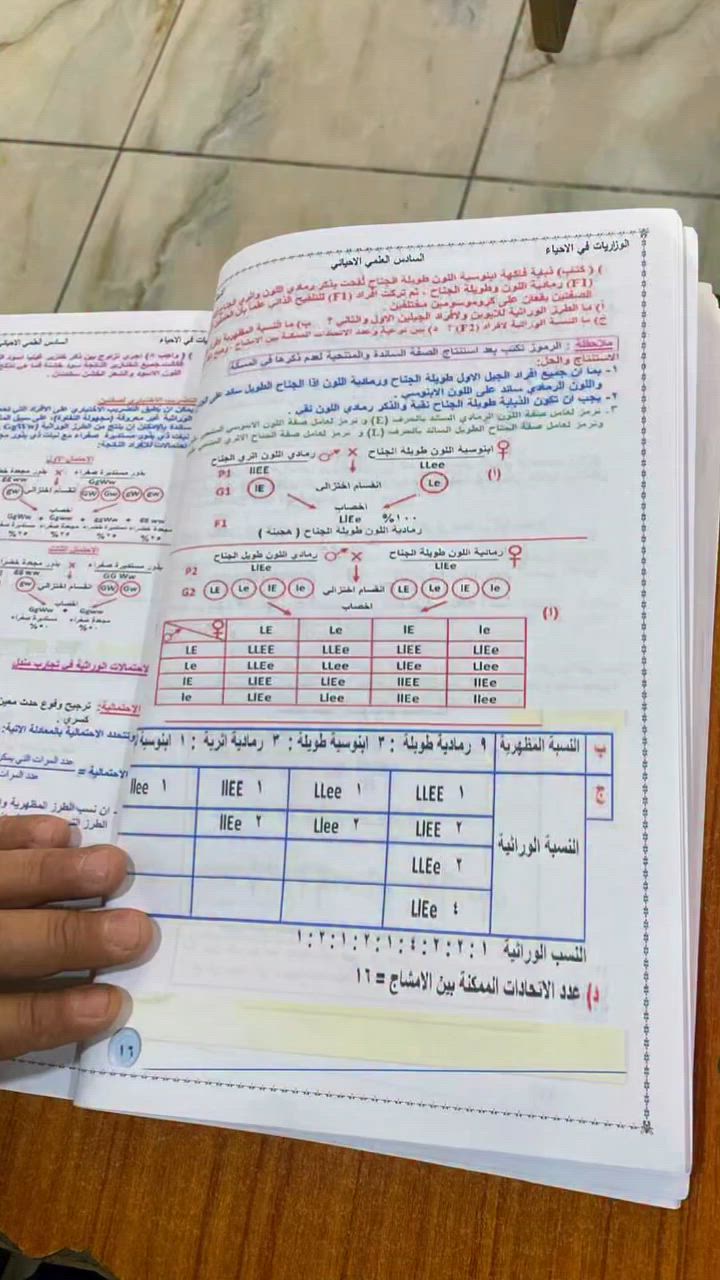 طلبتنا الأعزاء… 🌷

كنتم معنا خطوة بخطوة منذ بداية العام الدراسي وحتى يوم الامتحان النهائي، وستبقون دائمًا محل فخر واعتزاز بما قدمتموه من جهدٍ ومثابرة واجتهاد.

اليوم نصل إلى نهاية مرحلة جميلة، ولا يسعنا إلا أن نتمنى لكم كل التوفيق والنجاح في مسيرتكم القادمة، وأن يكتب الله لكم أعلى المراتب وأجمل البدايات.

إلى أبنائنا الذين سيكملون السادس الإعدادي، نودّعكم بقلوب يملؤها الدعاء والمحبة، ونفتخر بما حققتموه ونتمنى أن نراكم دائمًا في القمم حيث الطموح والإنجاز.

وأما أبناؤنا طلبة الثالث متوسط الذين سيبقون معنا في المرحلة الإعدادية، فأنتم امتداد هذه العائلة التي نعتز بها، وننتظر منكم عامًا جديدًا مليئًا بالتفوق والتميز والعطاء بإذن الله.

أنتم لستم مجرد طلاب… أنتم جزء من قلوبنا وذكرياتنا الجميلة، ومستقبل نؤمن به ونفخر به دائمًا.

وفقكم الله جميعًا، وجعل النجاح حليفكم في كل خطوة 🤍

⬇️⬇️⬇️⬇️⬇️⬇️⬇️⬇️⬇️⬇️

📞 للاستفسار التواصل عبر الأرقام التالية:
🔺 الادارة: ***********
📚 الابتدائية: ***********
🎓 الثانوية: ***********
💵 الحسابات والاستفسارات المالية: ***********

🔹رابط حساب Telegram 
‏t.me/alfadell

🔹موقع المدرسة على الفيس بوك 
https://www.facebook.com/profile.php?id=100067809657042&mibextid=LQQJ4d

🔹موقع المدرسة على الإنستقرام
https://www.instagram.com/alfadhl.primary.school?igsh=MTlyenJ6aGlvdnY2eQ==

🔹موقع المدرسة على التيك توك
https://www.tiktok.com/@alfadhelschool?_t=ZS-8vLyTFvpriq&_r=1

🔹موقع الم�
