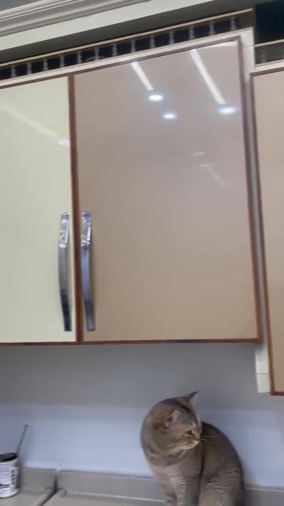 للبيع سعر ٧٥٠ وبي مجال
***********

