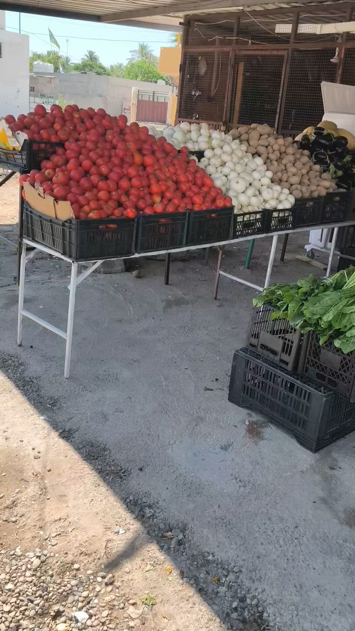مسواك اليوم الاثنين 2026/6/22
خانقين توله فروش قرب معمل النسيج 
يوجد خدمه توصيل


**إذا كنت صاحب هذا الإعلان وتريد حذفه لأي سبب، رجاءا أرسل رسالة إلى الدعم الفني**