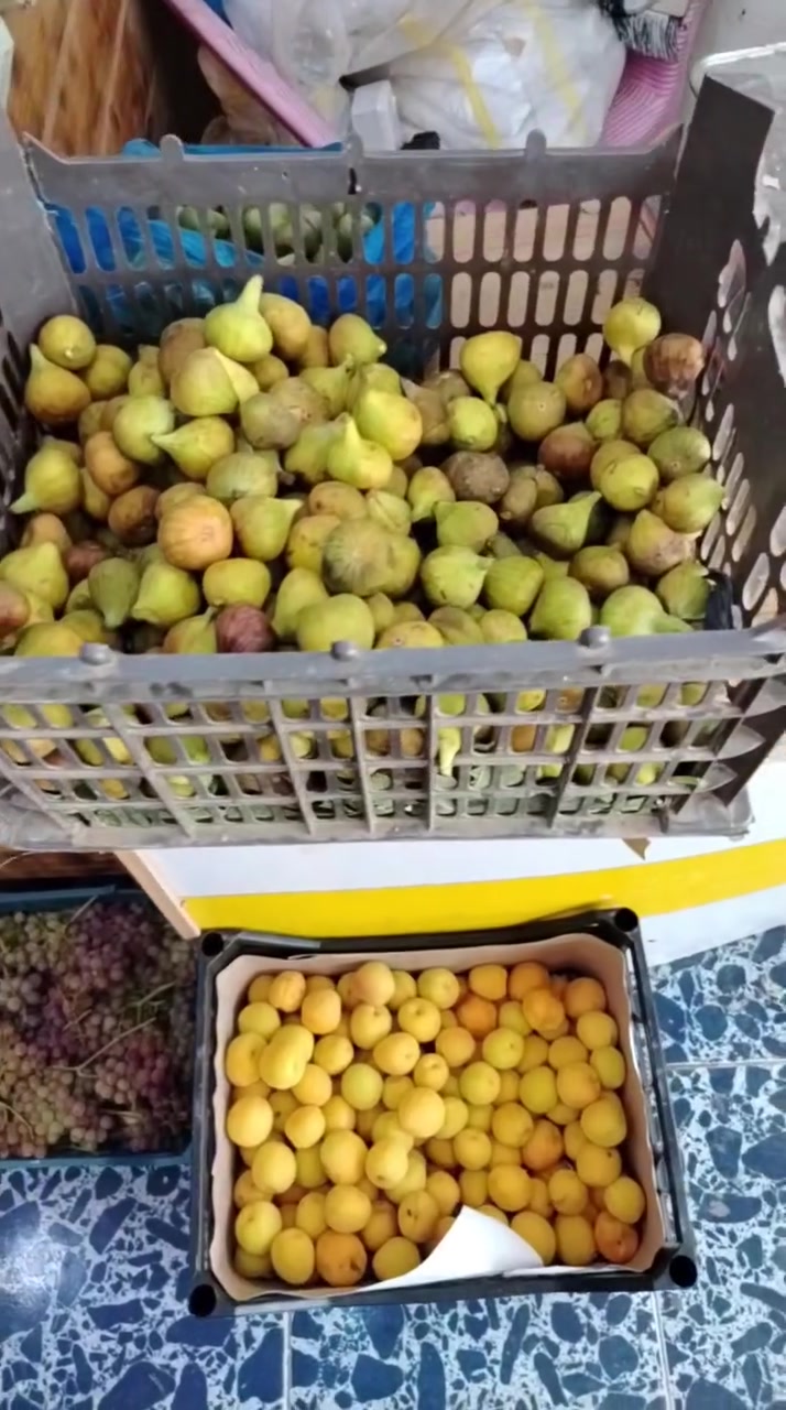 بسم الله عليه توكلنا 
الهم زد وبارك
#مسواك_جديد_تشيكله_مميزه
#مسواك_كلشيمتوفر_وبانسب_الاسعار
#تباعوا_الفديو للنهاية
علوة أبو مهند وأولاده  
#خدمة_التوصيل
 *********** واتساب
***********
#راوة_الجديدة_قرب_اسواق_قصي_الراوي
@أبرز المعجبين
