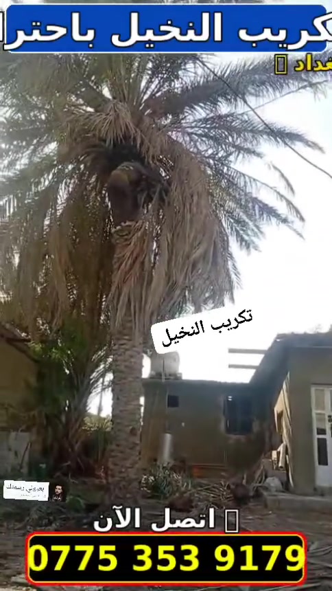 ***********
@الجميع

