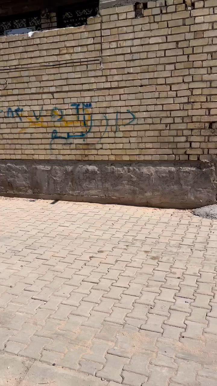 يا الله. دار لبيع مساحه ١٢٠م يحتوي علا ستقبال مطبخ بارد ومطبخ حار حولي كبير صحيات ٢غرف نوم بيتونه كبيره لبيت جاهز مابي اي نقص خدمات كامله ما مجاري مقرنص يبعد عن شارع ريسي ٤بيت فرع عرظ ٧متر اي ستفسار تصل او عل وتساب ***********. واجهيه ٩
