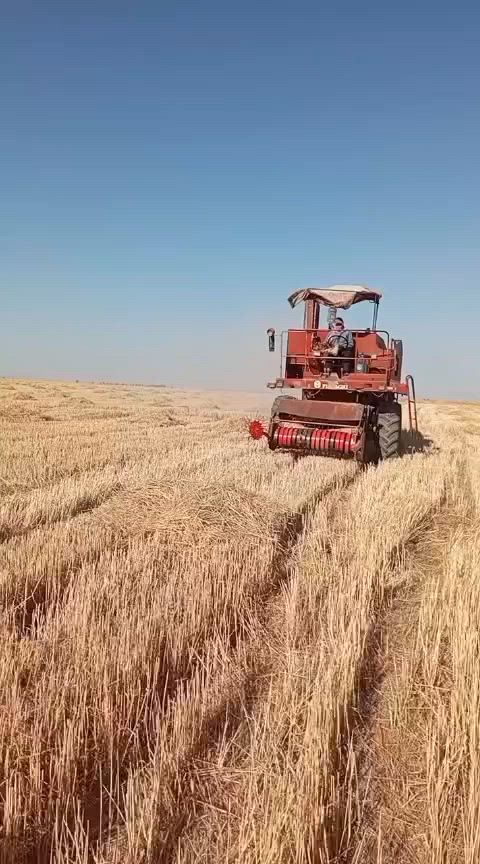 ‏لافيردا محوره تبانه للبيع وحدها بدون العرباين المكان كركوك للاستفسار الاتصال ***********

