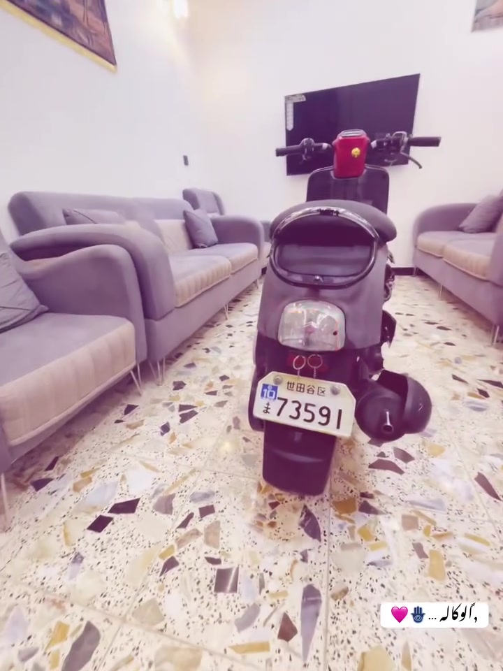 سلام عليكم شباب .دراجه بوليس ١٢٠ نوزل نوزل دراجه حلوه وناشفه لون احمر جارد دراجه كفاله حلوه وكلهه بلاديه دراجه كلهه ختم واحد من الويل للويل ختم واحد ويه لمكينه دراجه بيه زنون + نقص مابيه من سستم لكلوبات او غير شي بيه سستم بس فاتحه وضامه تريده وي دراجه او ما تريده سعر ٧٠٠ وبيه مجال تجي دكلب وسهله العنوان بغداد مدينه الصدر . رقمي *********** واتساب + تصال 🩷🩷
