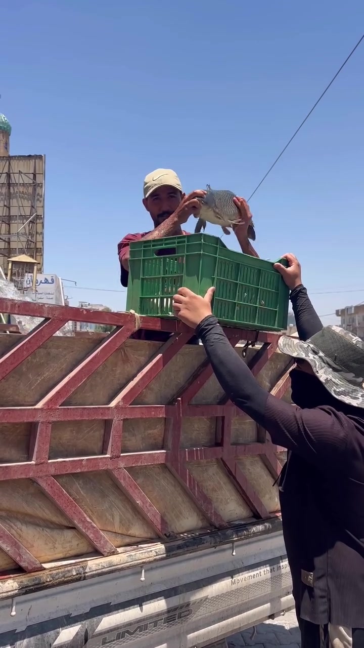 سمج كاريبي اسود بـ(5000تالاف)بسعر الجمله
🟢تعلن اسماك ودجاج خيرات العدل لبيع السمج الكاريبي الاسود مال اقفاص (جمله -مفرد)جوه السوگ بـ5000تالاف 

 🔵سمج مسكوف بـ 7000ونص مع المقبلات والعمبه والطرشي 

🟠دجاج عراقي ذبح مشوي لكيلو بـ6000تالاف مع المقبلات والعمبه والطرشي 

  

🔵الفرع الأول حي العدل الشارع الرئيس مجاور مركز شرطه العدل ومجاور افران الروان***********

🟢الفرع الثاني الحريه شارع المشجر مقابل المعهد النضامي ومقابل حديقه الشاشه ***********
